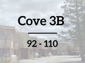 Cove 3B Roofing Project