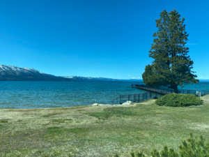 Townhome Dock Pilings Update